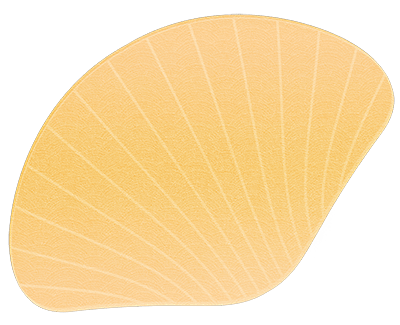 shell icons sourced from openclipart.org